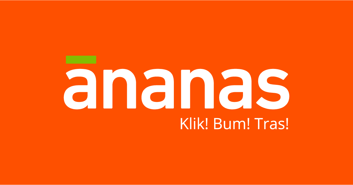 ananas project photo