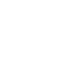 webtise-logo-icon-white-transparent-sharp