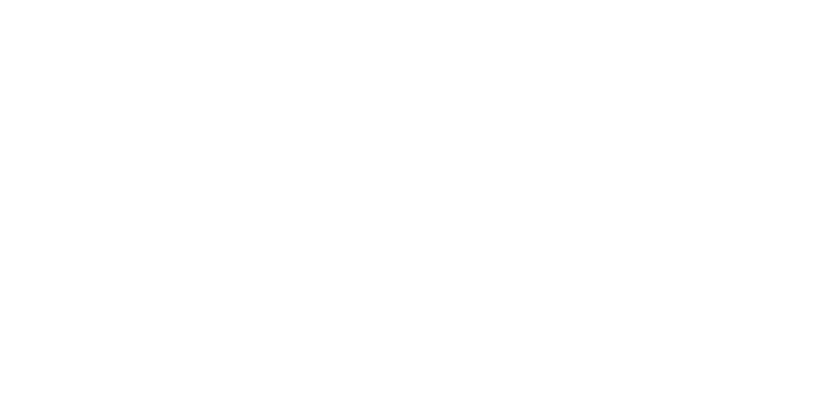 Arnold-IT-Consulting-all-white-transparent